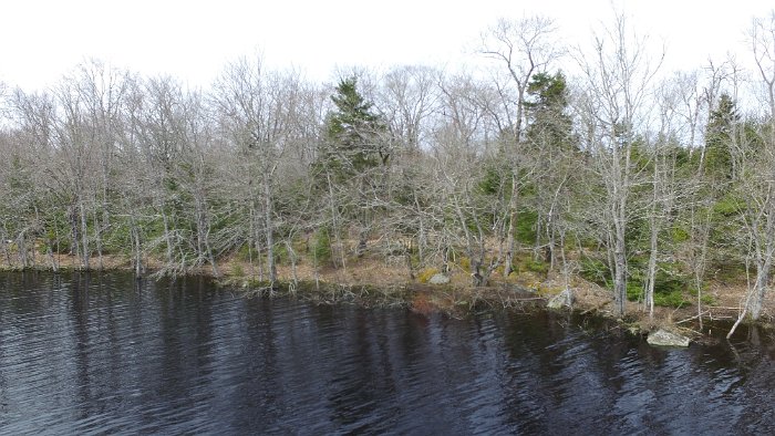 WentworthHalbinsel (81)